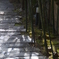 京都