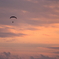 夕焼け空を飛ぶ