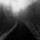 way of fog