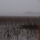 DSC00948