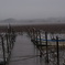 DSC00986