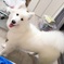 たまたま撮った笑顔〜