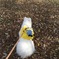 photo_5211917