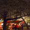 あんず飴と夜桜