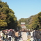 鶴岡八幡宮