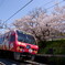 アンパンマン列車