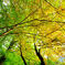 20141025_0021