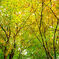 20141025_0022
