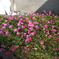 DSCN0058