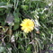 DSCN0059