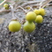 DSCN0076