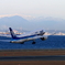 ANA787