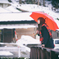 氷雨
