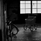 Monochrome