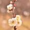 梅の花