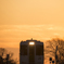 Glad sunrise