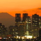 FUJIYAMA × 新宿副都心