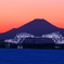FUJIYAMA × 東京ゲートブリッジ