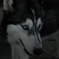 Blue Eye