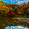 Miscellaneous a colorful autumn.