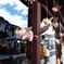 Flying pigs 