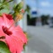 IMG_20151205_120243