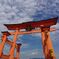 晴天に高く