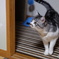 どうしたの？