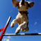 Flying