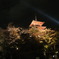 清水寺ライトアップ