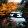 六義園の彩秋