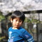 桜の花道にて何を想う