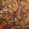 DSC01867