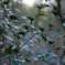 new_DSC02121_tate