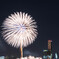 2015 seoul fireworks #5