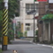 通りすがり猫248