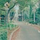 通学路
