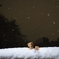 ダンボーが雪を見に来たそうです。
