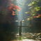 光芒と紅葉