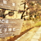 道