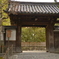 入門