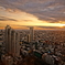 Tokyo Sunset View 