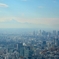 新宿ビル群と富士山