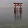 湖面に浮かぶ鳥居