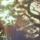 Shadow with Sunshine