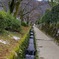 せせらぎのある坂道