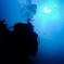 Diver