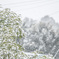 First snow