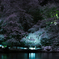 冬の公園