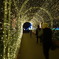 Christmas at Kew 2015
